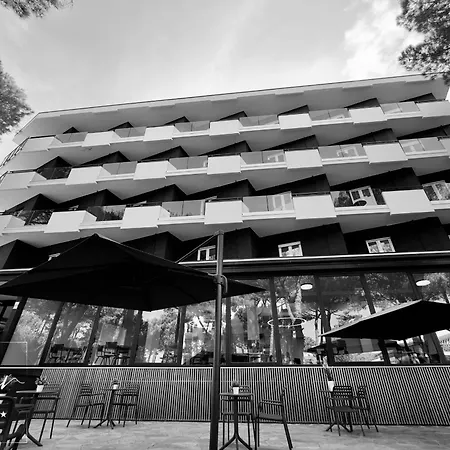 Noir - Free Brunch & Breakfast Until 13-00 - Vicinissimi A Mirabilandia Μιλάνο Μαριτίμα