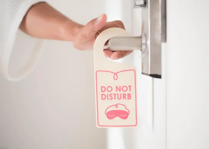 Noir - Free Brunch & Breakfast Until 13-00 - Vicinissimi A Mirabilandia